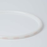 D16 Addressable & Programmable Digital RGB Flex LED Neon Strips